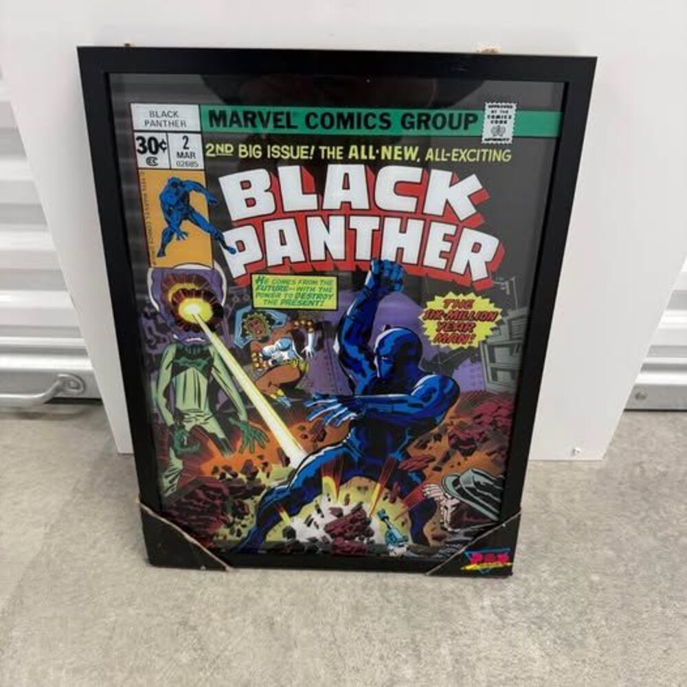 Black Panther Portrait
